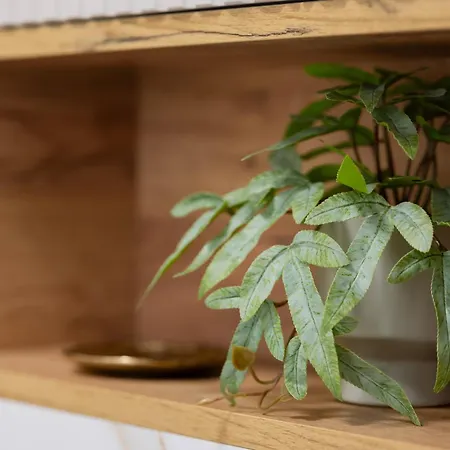 Elegant Grojecka In By Renters