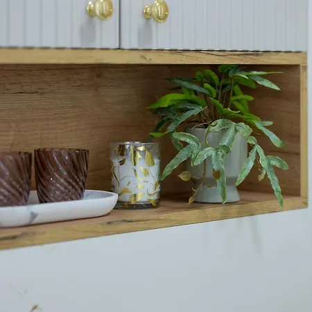 Elegant Grojecka In By Renters *