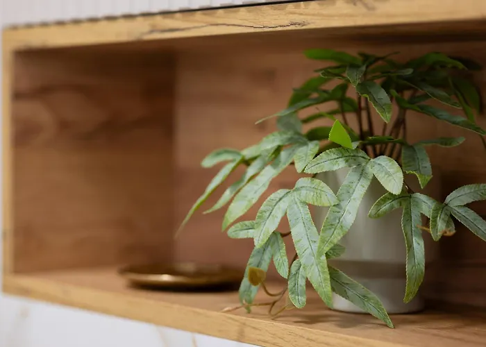 Elegant Grójecka In By Renters